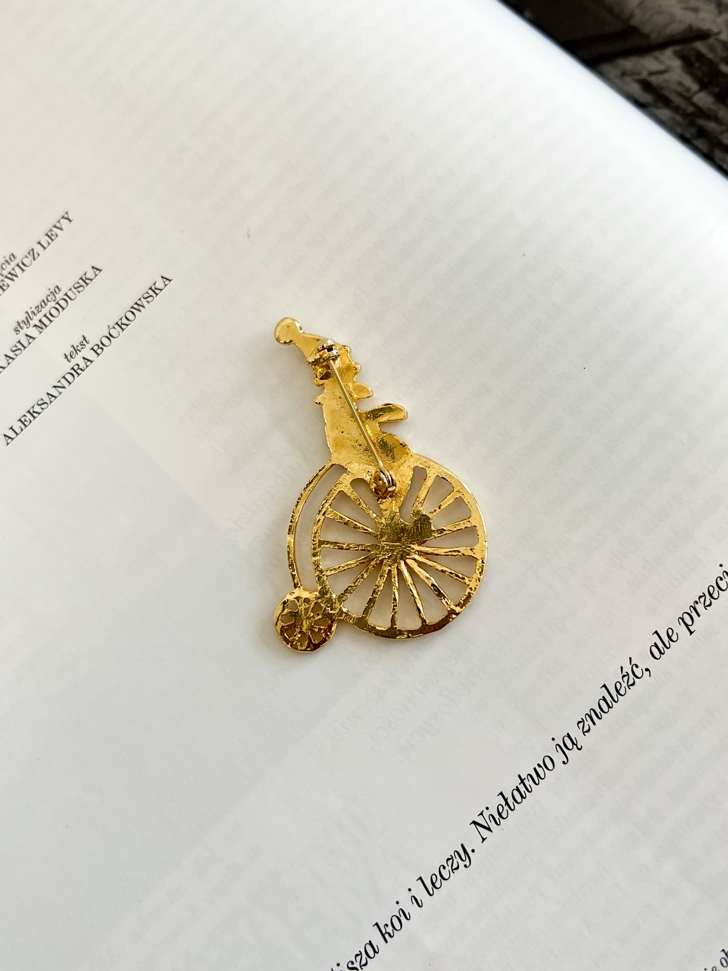 Broszka pajacyk na bicyklu | 00'